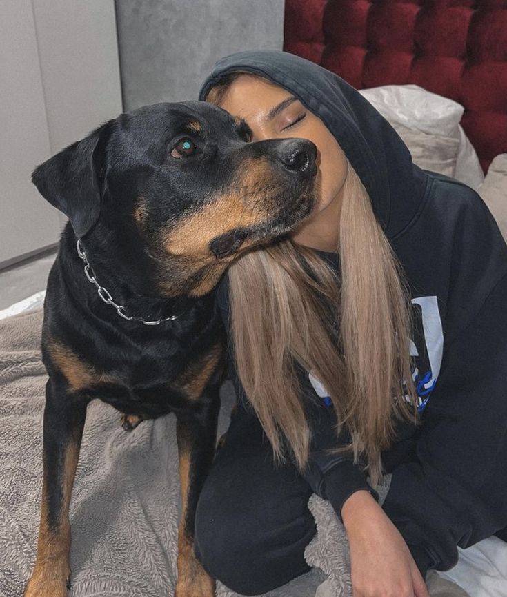 Mundo Pet